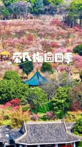来中国赏花，无锡的荣氏梅园是不可错过的存在， 来无锡赏梅，看四季美景