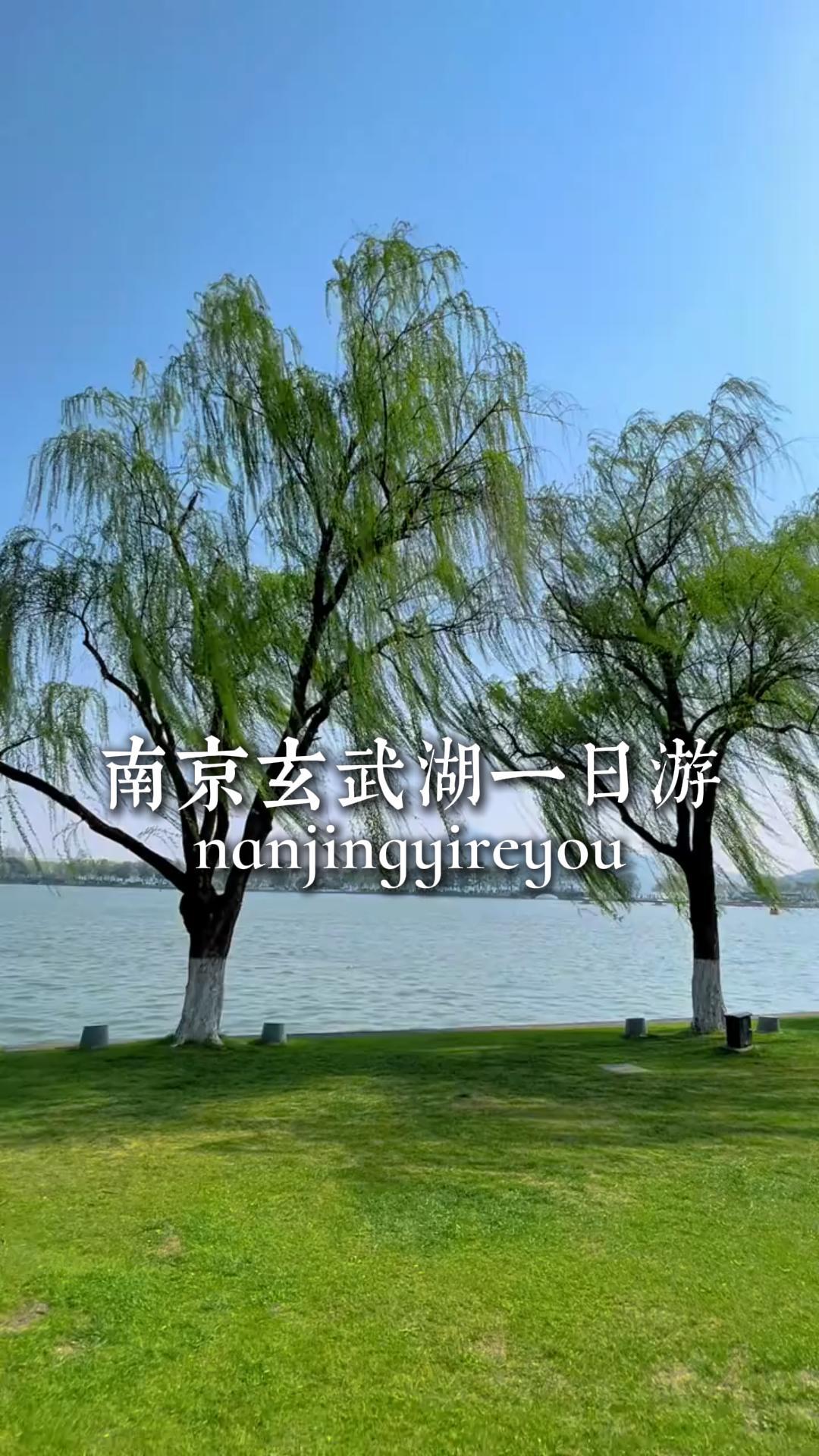 玄武湖一日游|慢逛金陵湖景,体验地道生活