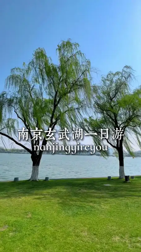 玄武湖一日游|慢逛金陵湖景，体验地道生活