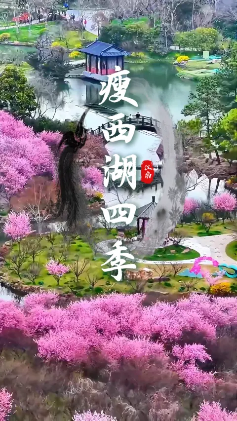 瘦西湖四季美景,步步都是江南好风景,扬州旅游看四季揽胜邂逅瘦西湖之美