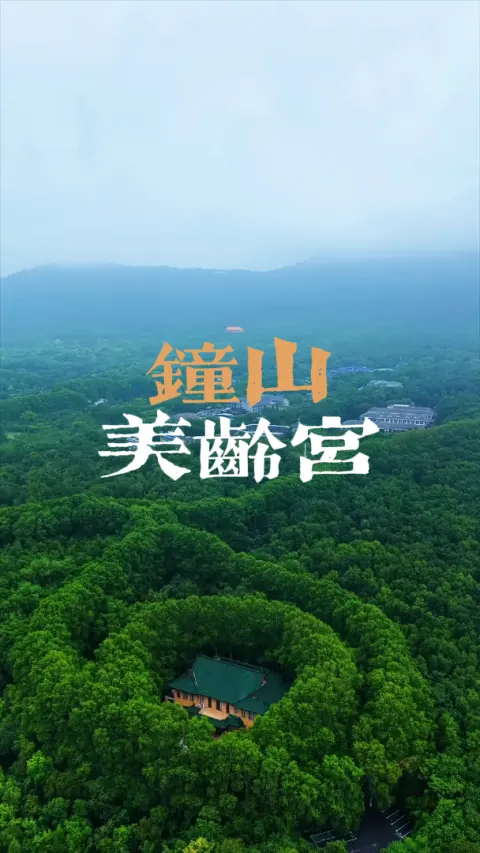 南京钟山美龄宫一日游,第一次来美龄宫怎么玩?美龄宫到底多奢华?