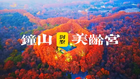 南京美龄宫游玩攻略|美龄宫要怎么逛?不绕路不踩雷,看完就出发