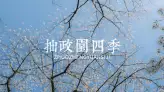 苏州拙政园四季游览指南，告诉你为什么一年四次都要来拙政园逛逛？