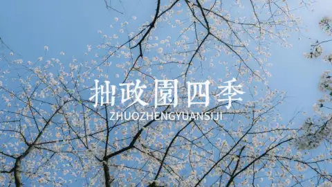 苏州拙政园游览指南,告诉你为什么一年四次都要来拙政园逛逛?