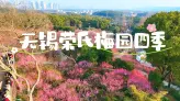 来无锡旅行，看星光不夜天，无锡荣氏梅园四季游赏与奇幻夜游全攻略！