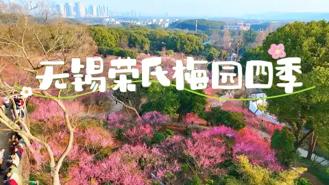 来无锡旅行,看星光不夜天,无锡荣氏梅园四季游赏与奇幻夜游全攻略!
