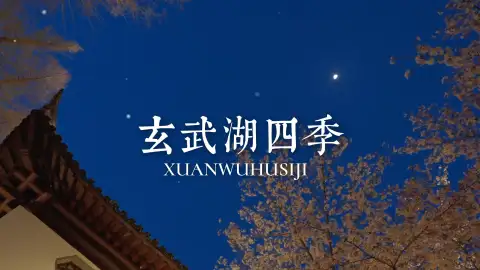 来南京旅游赴玄武湖四季之约,赏四季限定美景