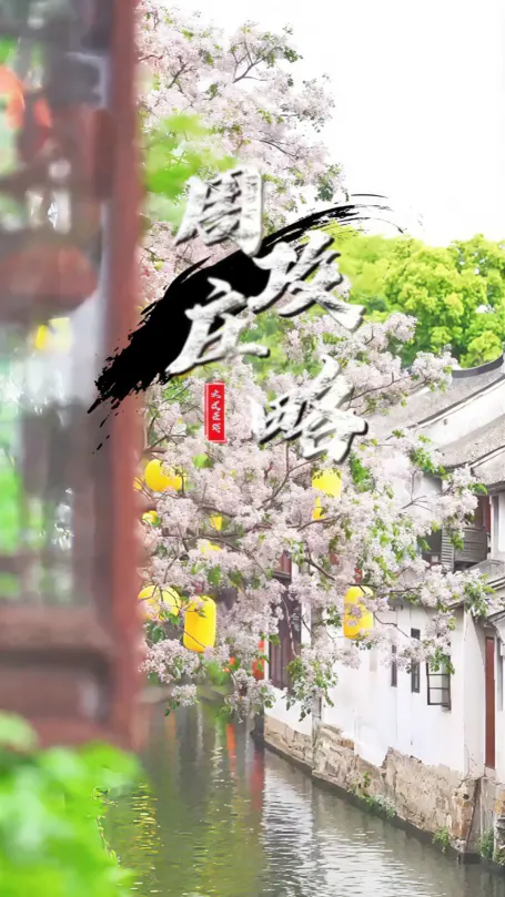 2026周庄旅游攻略 | 来苏州旅游就看这份最新票价、免票时间及游玩路线指南