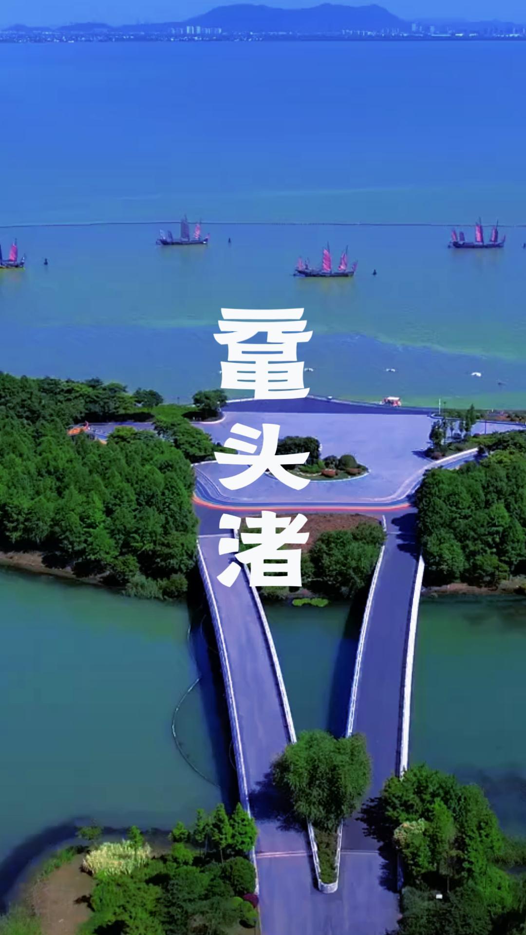 春季赏樱、夏季观荷、秋来赏秋、冬季观鸥:鼋头渚游玩攻略!