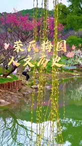 中国无锡百年梅园历史介绍：荣氏家族留给世界的，究竟是怎样一座园子？