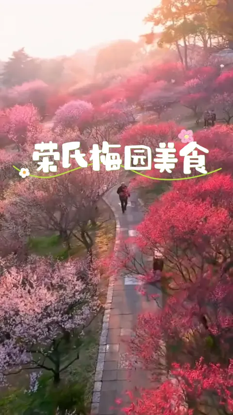 无锡荣氏梅园不仅仅只有赏梅, 太湖边荣巷老街藏着最传统的无锡美食!