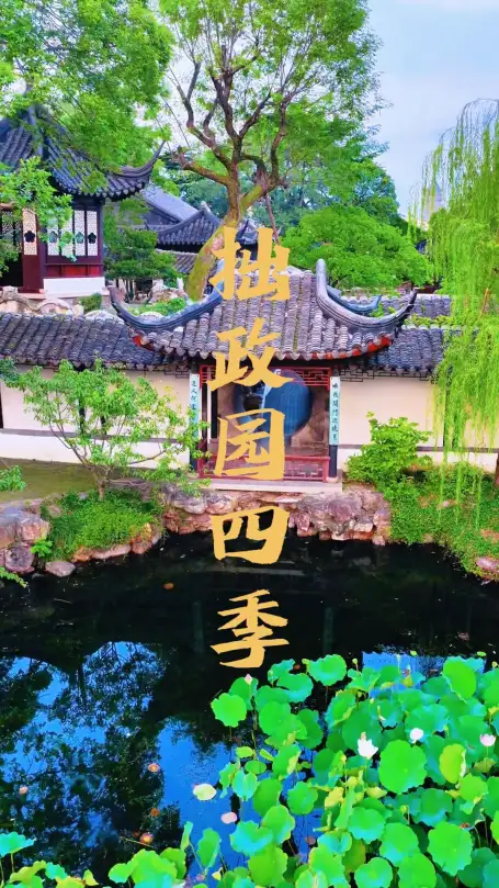 苏州拙政园四季风景究竟有多美？这条视频带你看遍拙政园一年四季