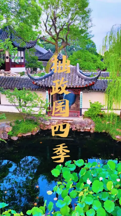 苏州拙政园四季风景究竟有多美?这条视频带你看遍拙政园一年四季