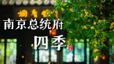 南京总统府什么时候来最合适？看完这条南京总统府风景视频，你就知道