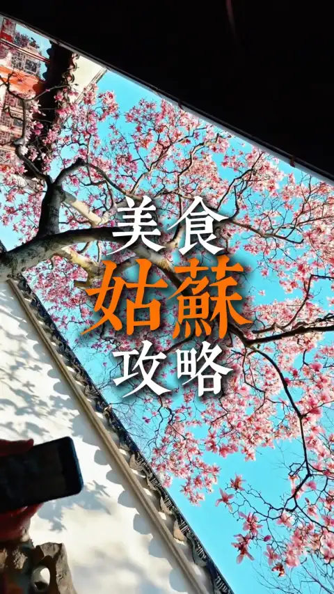 苏州本地美食合集,吃透地道姑苏烟火味