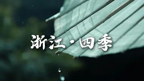 四季风光各有韵味,浙江旅行四季皆值得奔赴