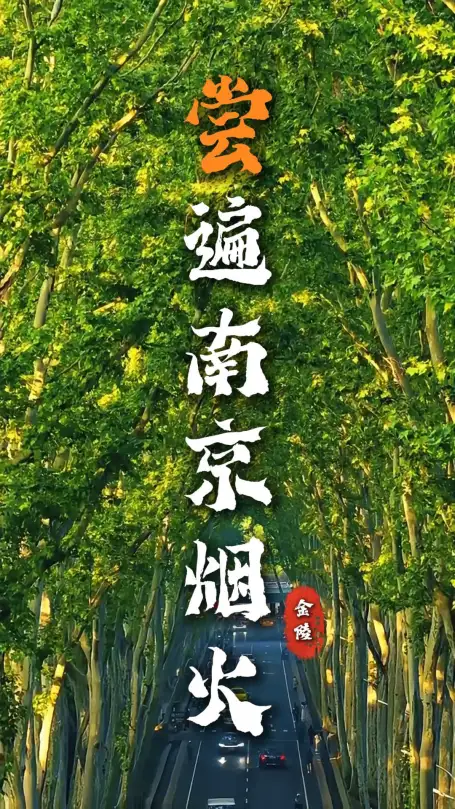 南京游玩美食记带您吃遍南京街巷烟火，从早到晚吃透金陵本味
