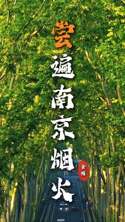 南京游玩美食记带您吃遍南京街巷烟火，从早到晚吃透金陵本味