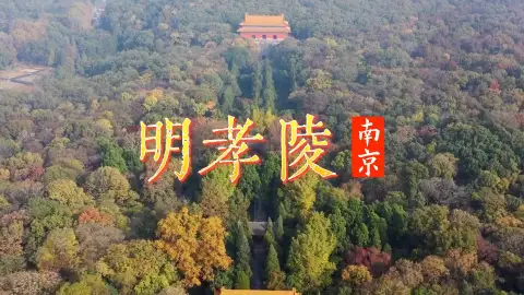 来南京旅游,别再只盯着那些网红打卡点了,这条南京一日游攻略带你走进明孝陵