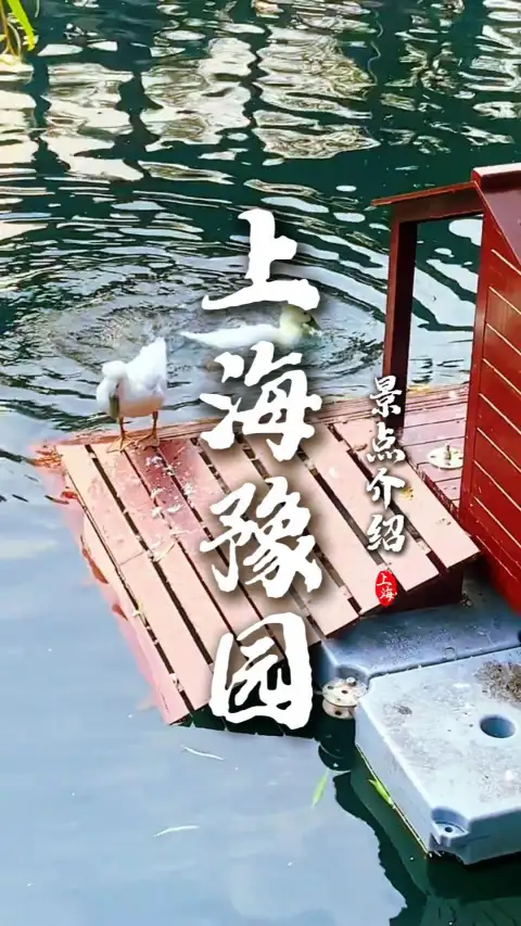 上海旅行怎么玩?豫园景点介绍全面来袭,带你逛遍整个豫园不踩雷