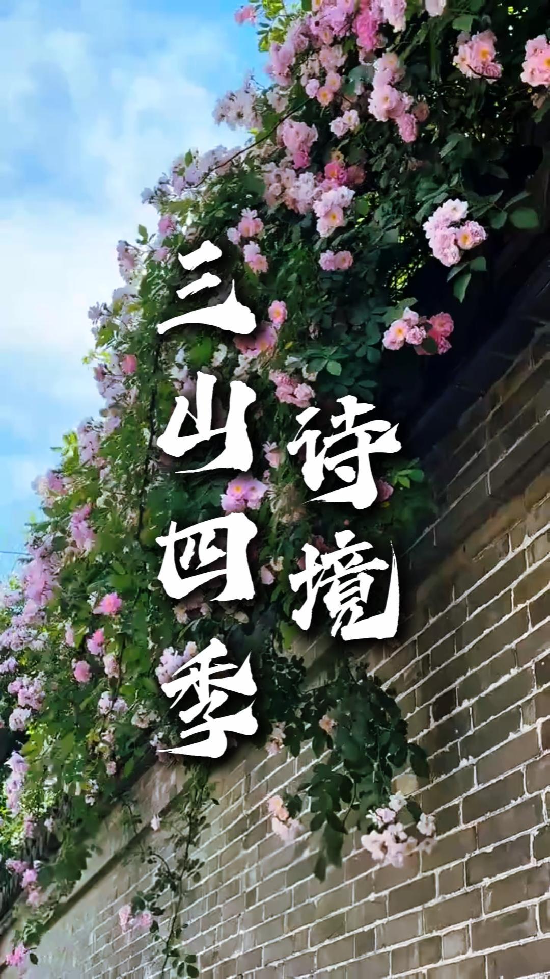 鎮江三山出遊指南：三山的山色因季而變，玩法隨你而選，實用乾貨
