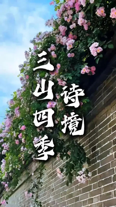 镇江三山出游指南:三山的山色因季而变,玩法随你而选,实用干货