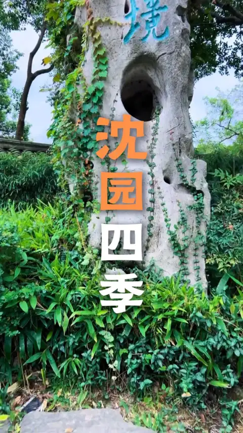 沈园四季怎么玩?去过三次沈园才敢说:大多数人都挑错了季节游玩沈园