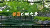 不知道什么时候去苏州旅行？来看看留园的四季再决定