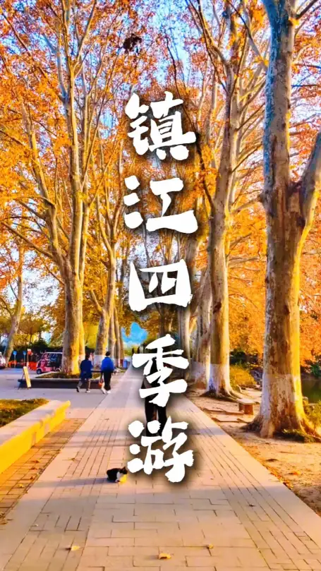 藏在长江边的镇江！超全季节玩法，每一季都值得奔赴
