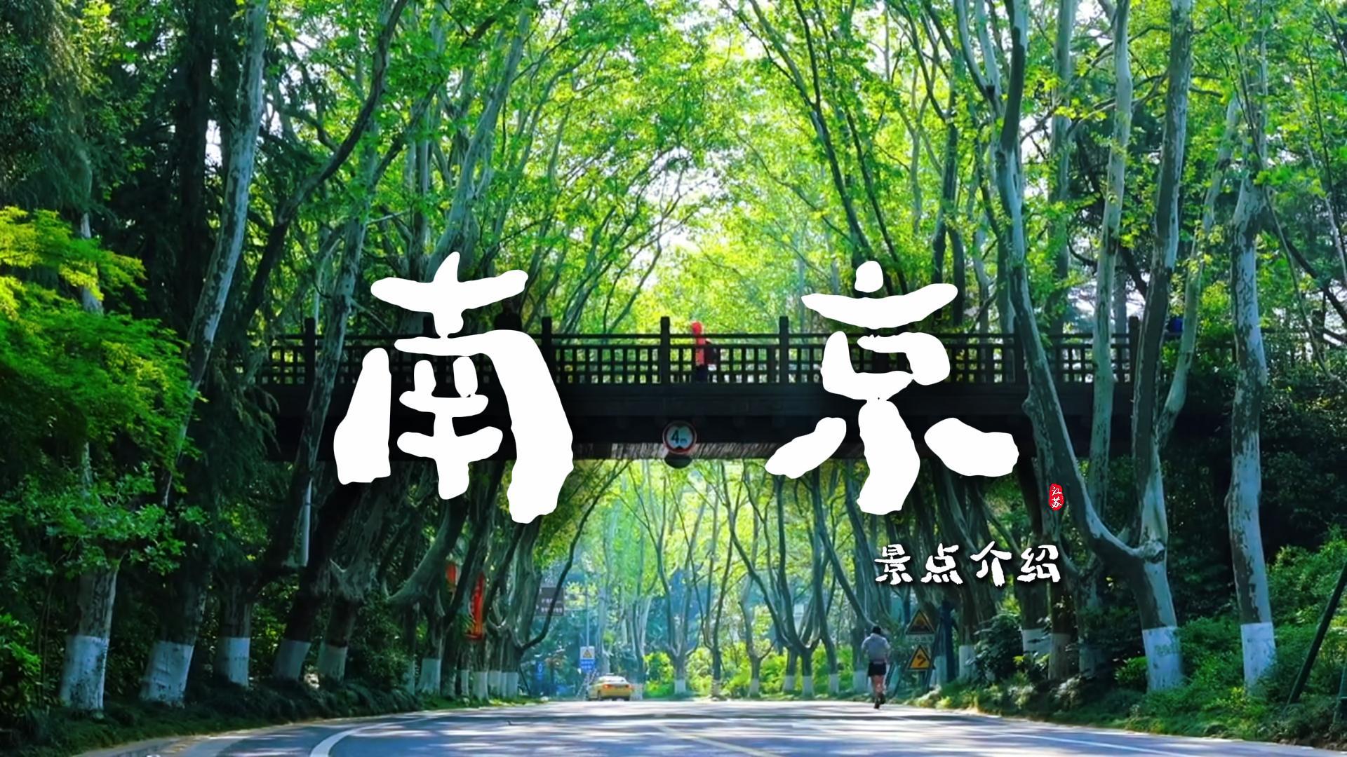 南京深度漫游攻略：逛老门东品烟火，访牛首山中山陵读懂金陵千年风骨