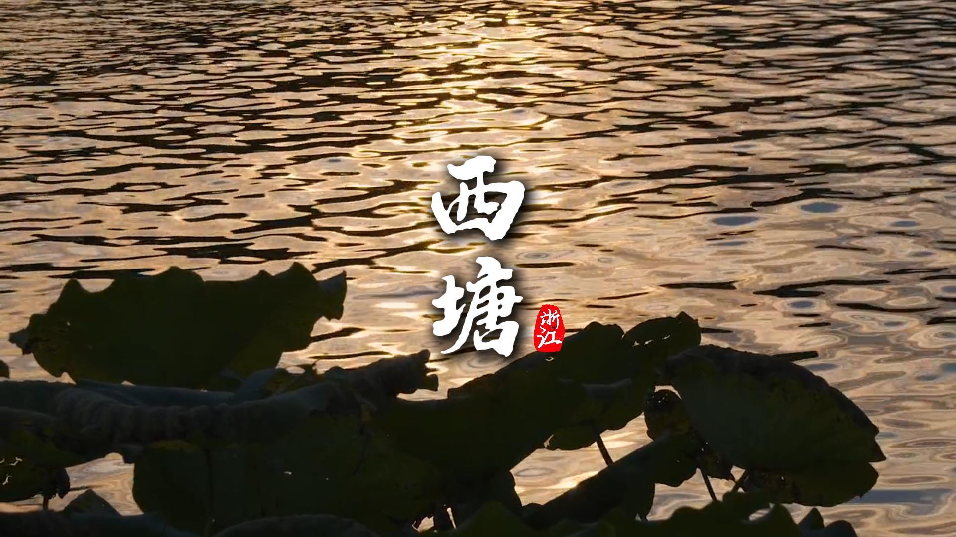 来浙江旅行感受原汁原味西塘，走进最治愈的江南慢时光