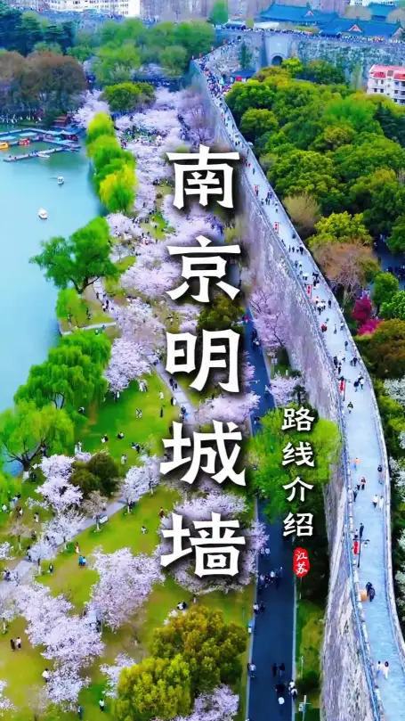 南京城墙精华路线：不走全程，轻松读懂千年金陵古韵