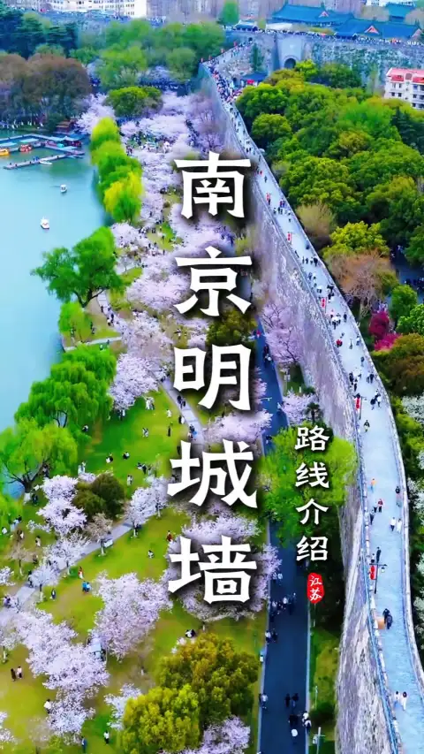 南京城墙旅游路线:不走全程,轻松读懂千年金陵古韵