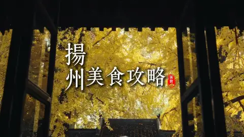 江苏旅游攻略,在扬州美食里读懂一城烟火藏本味!