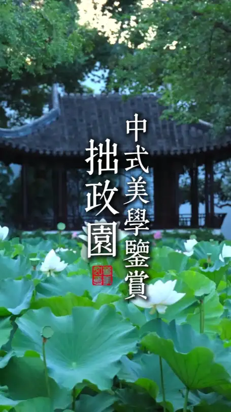 苏州旅行探寻拙政园中式美学，感受江南园林东方意趣
