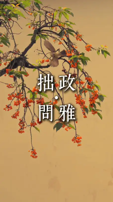 苏州夜游去哪里？来拙政问雅|夜游江南古韵，品园林风光