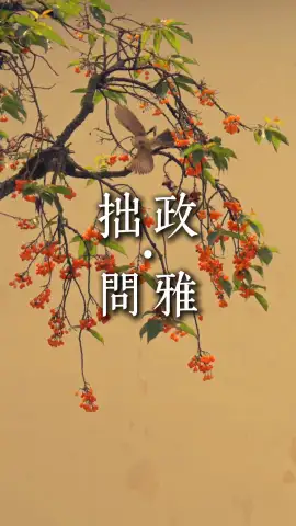 苏州夜游去哪里?来拙政问雅|夜游江南古韵,品园林风光