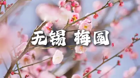 来无锡旅游发现藏在太湖边的百年江南园林!附无锡梅园全域景点详解