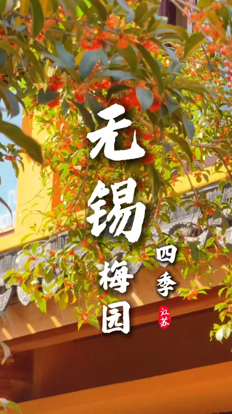 无锡这座城市四时皆景，来无锡游玩推荐赏梅园四季风华