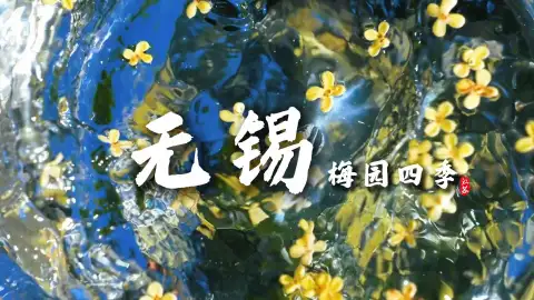 来无锡旅游走进无锡梅园,看四季风光尽揽江南诗意