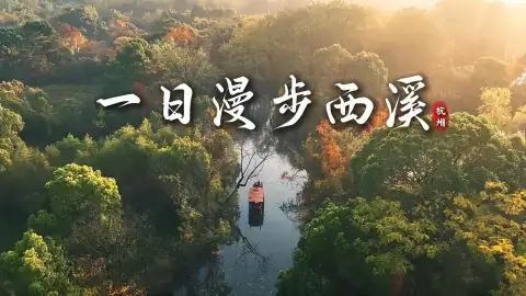 杭州旅行必看:西溪湿地超全攻略,带你避开人流,沉浸式拍照和打卡!