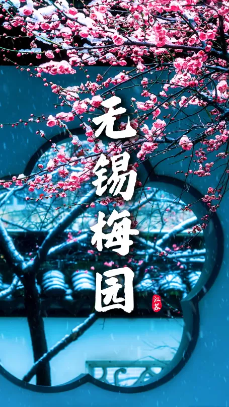 中国赏梅首选是哪里？无锡梅园全方位游玩攻略