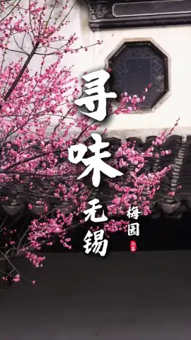 赏不尽梅园景色古韵,谁能拒绝这一口无锡美食?