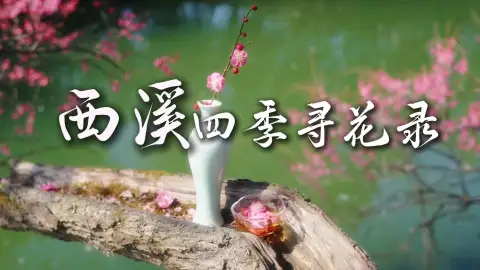 来中国赏花,杭州西溪湿地一定值得反复来,四季皆有美景