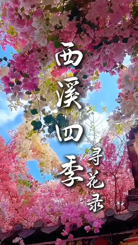 杭州西溪湿地赏花攻略：来杭州旅行必看的四季风景！