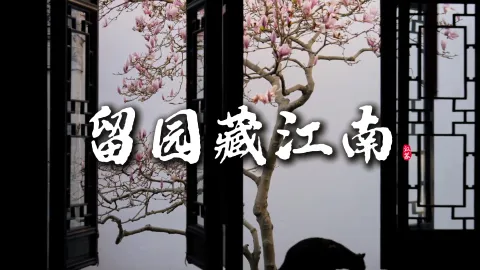 苏州旅游走遍园林,最治愈、最耐看的永远是留园!