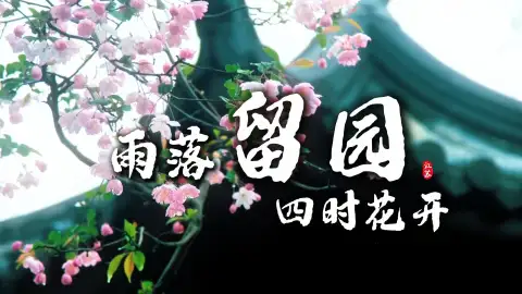 来苏州旅游必看,下雨天的留园才是天花板!四季景色都美到心醉