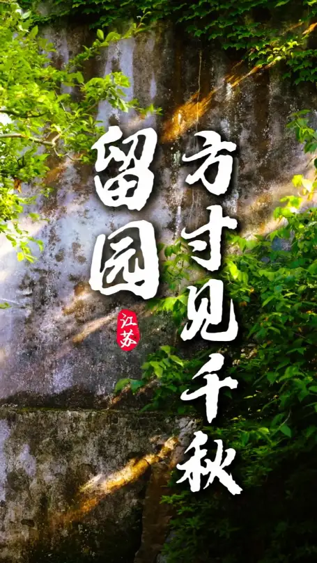 来苏州旅游必逛留园，四大片区各有风光，沉浸式感受造园美学！