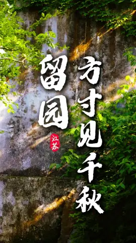 来苏州旅游必逛留园,四大片区各有风光,沉浸式感受造园美学!
