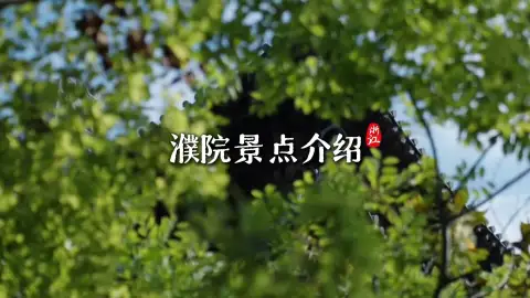 嘉兴旅游好去处|来濮院解锁桐乡原生态千年水乡